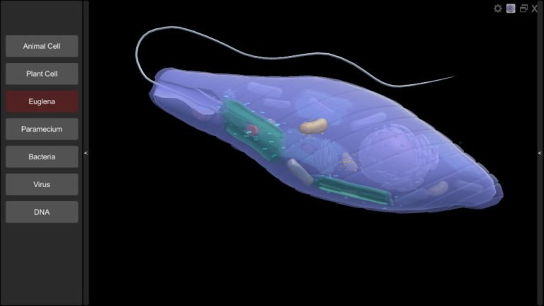 3D Virtual Cell - Biosphera