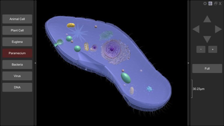 3D Virtual Cell - Biosphera