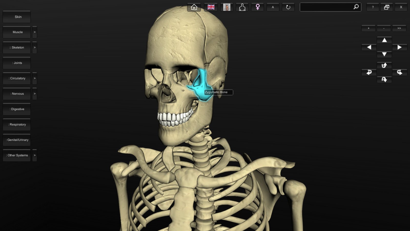 Tutorial: How to use Biosphera’s 3D Human Anatomy software (desktop ...