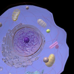 3D Virtual Cell - Biosphera