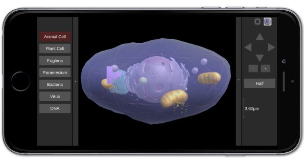 Tutorial: How to use the 3D Virtual Cell software (mobile devices version)  - Biosphera